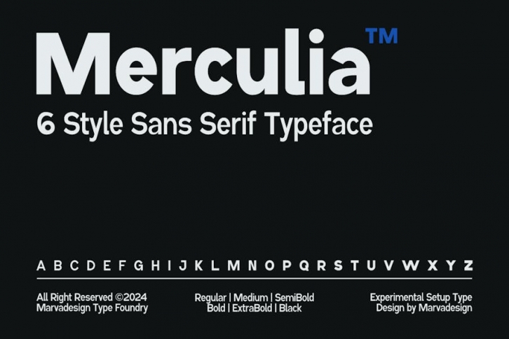 Merculia - Variable Family Sans Serif Font Download
