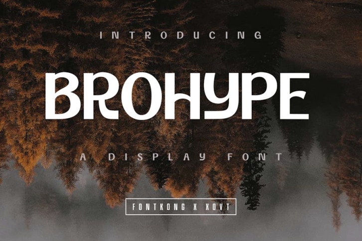 Brohype - Display Font Font Download