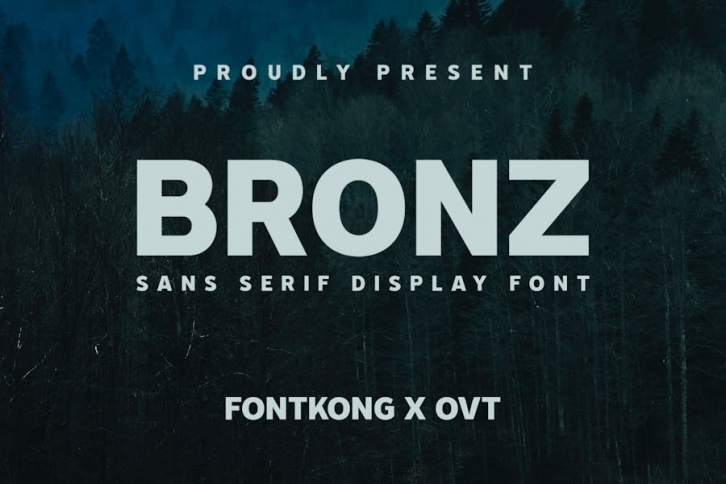 Bronz - Sans Serif Display Font Font Download