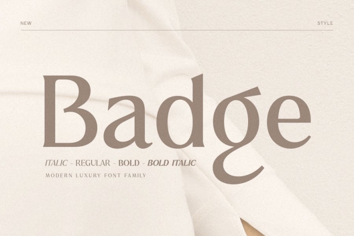 Badge - Modern Luxury Font Family Font Download