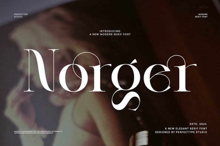 Norger Modern Elegant Serif Font Typeface Font Download
