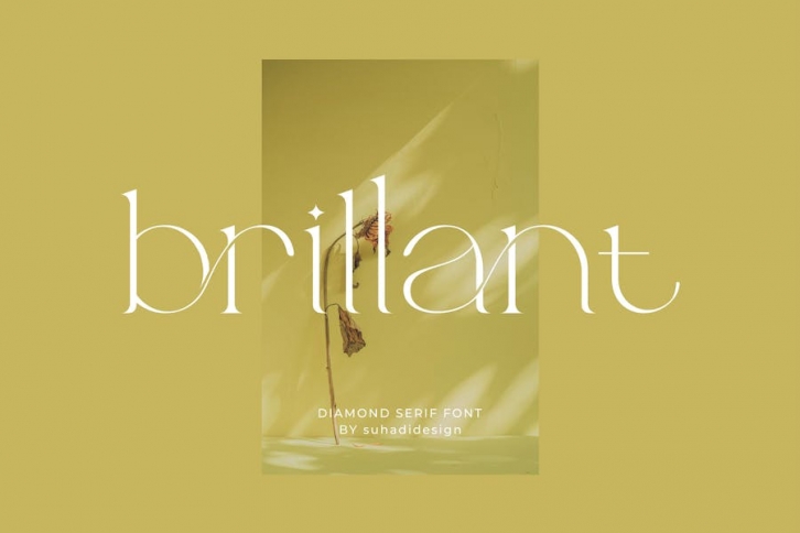 Brillant - Stylish Ligature Serif Font Download