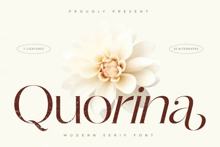 Quorina Modern Serif Font Font Download