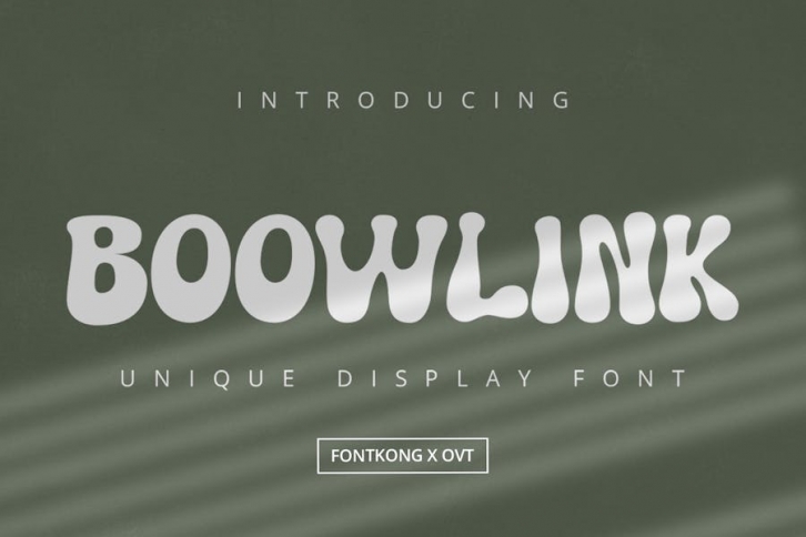 Boowlink - Unique Display Font Font Download