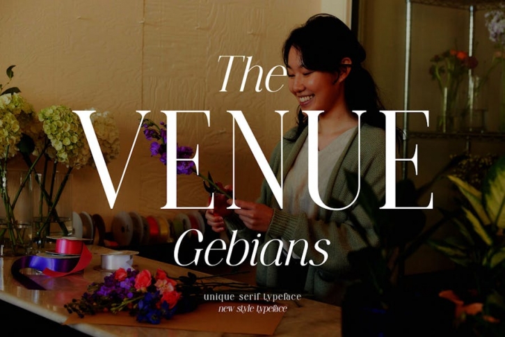 The VENUE Gebians Serif Typeface Font Download