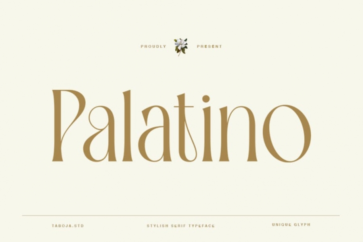 Palatino - Elegant Simplicity Serif Font Download