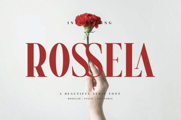 Rossela - Beautiful Ligature Font Font Download