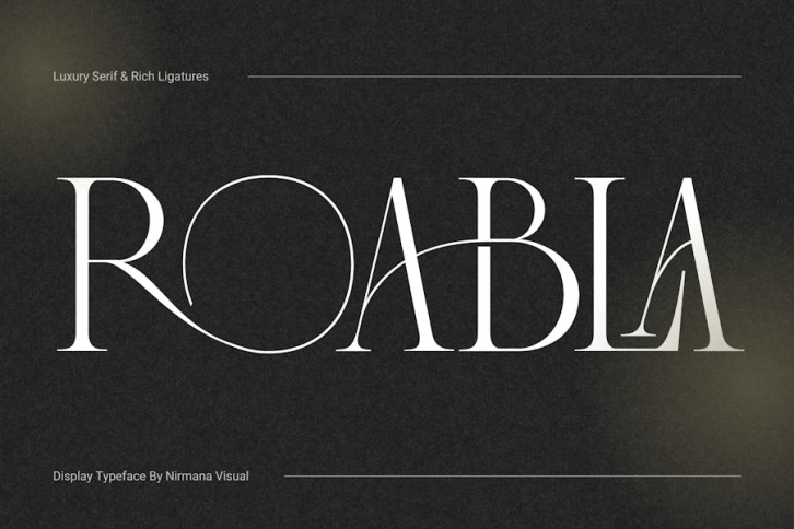 Roabla - Modern Serif Font Font Download