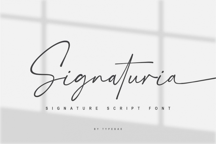 Signaturia - Handwritten Signature Font Font Download