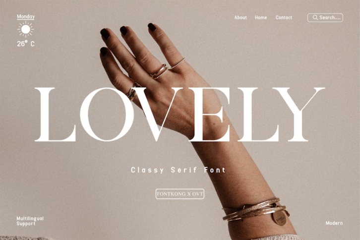 Lovely - Classy Serif Font Font Download