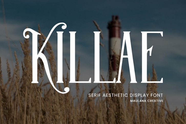 Killae Serif Aesthetic Display Font Font Download