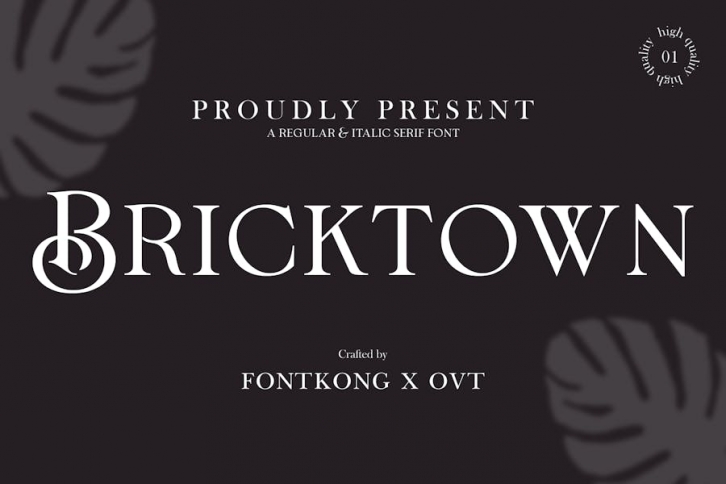 Bricktown - Regular & Italic Serif Font Font Download