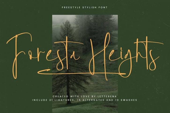 Foresta Heights Freestyle Stylish Font Font Download