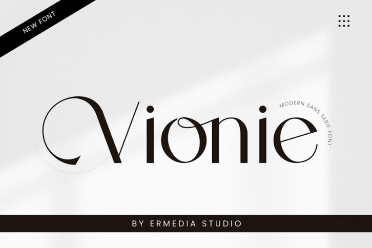 Vionie Sans Serif Font Font Download