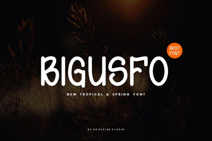 Bigusfo - Tropical & Spring Font Font Download