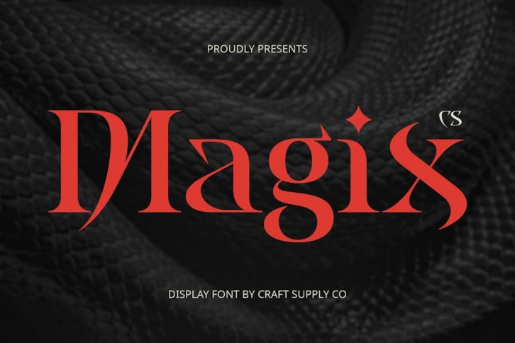 CS Magix – Display Serif Font Font Download