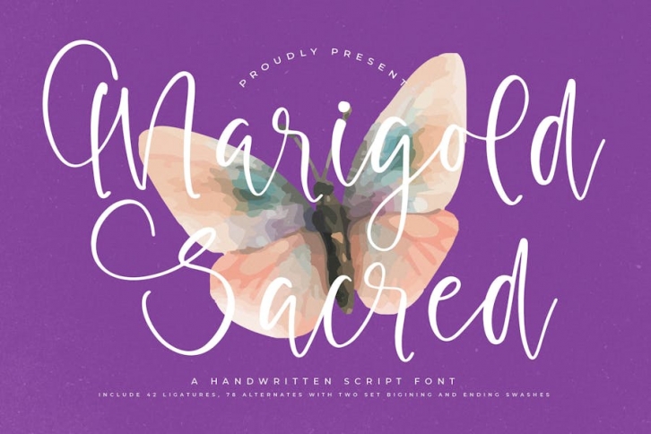 Marigold Sacred Handwritten Script Font Font Download