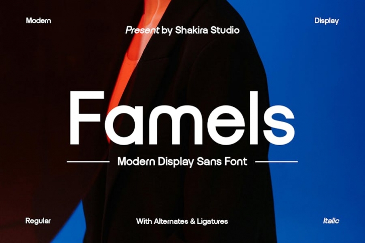 Famels - Modern Sans Serif Font Download