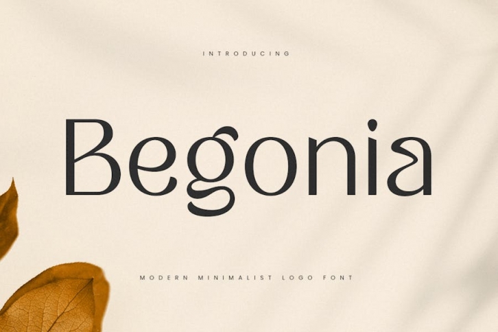 Begonia - Modern Minimalist Logo Font Font Download