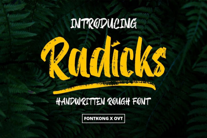 Radicks - Handwritten Rough Font Font Download