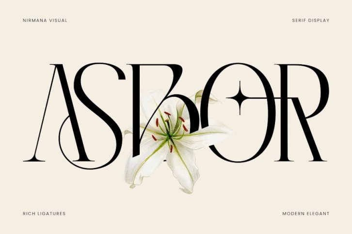 Asbor - Logo Font Font Download