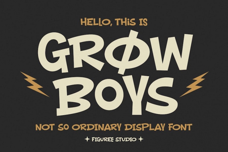 Grow Boys - Not So Ordinary Display Font Font Download