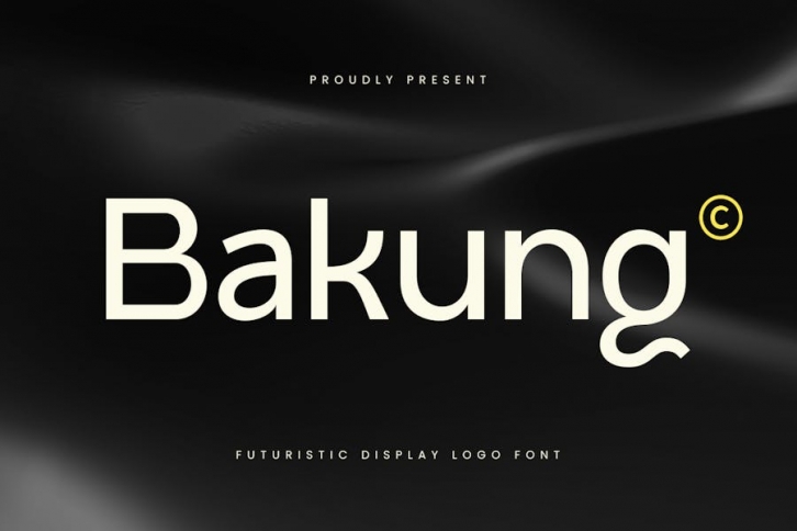 Bakung - Modern Branding Logo Font Font Download