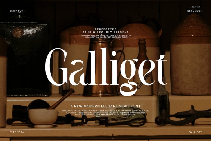 Galliget Modern Elegant Serif Font Typeface Font Download