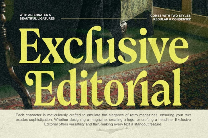 Exclusive Editorial - Retro Serif Font Download