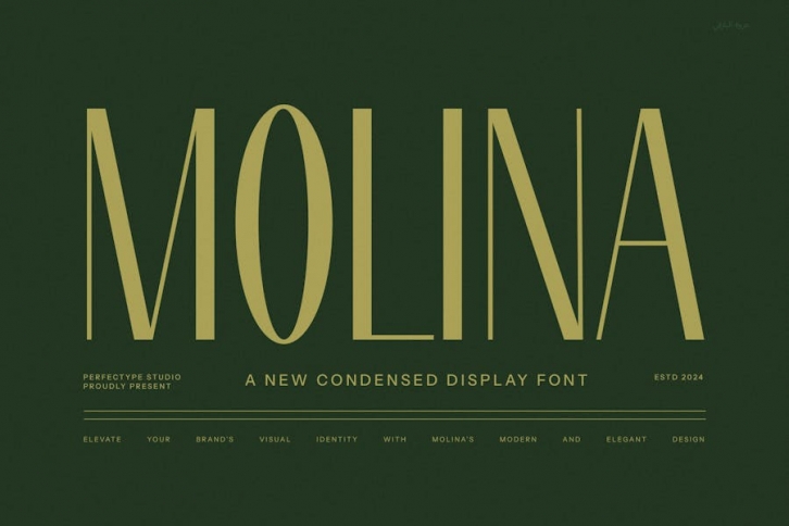 Molina Modern Sans Serif Font Font Download