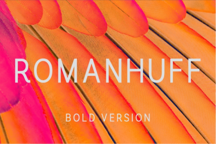Romanhuff Bold Font Download