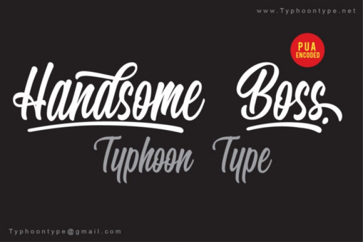 Handsome Boss Font Download