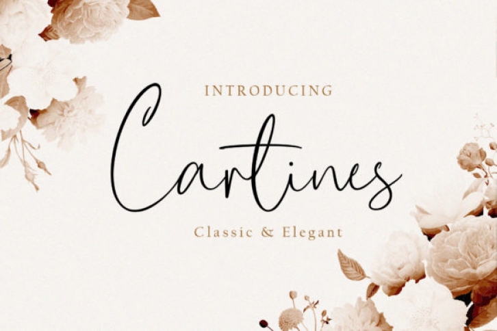 Cartines Font Download
