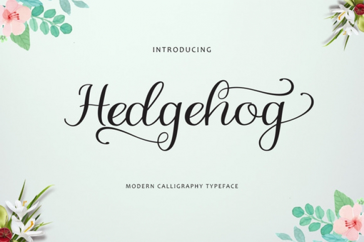 Hedgehog Font Download