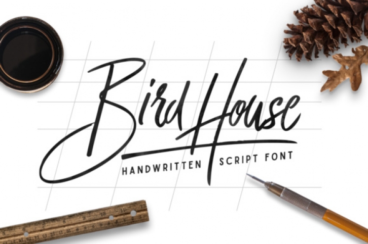 Bird House Script Font Download