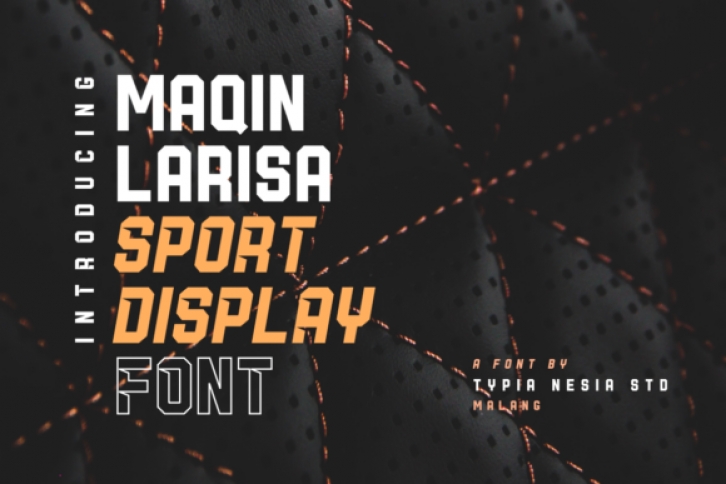 Maqin Larisa Font Download