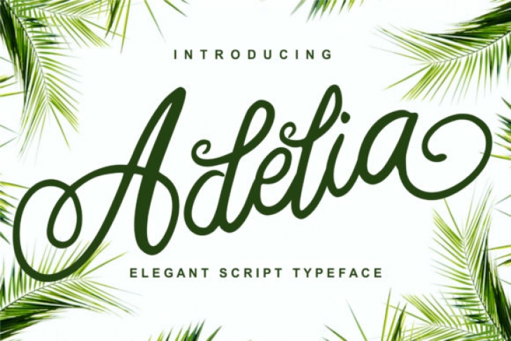 Adelia Font Download