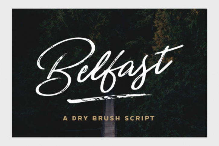 Belfast Font Download
