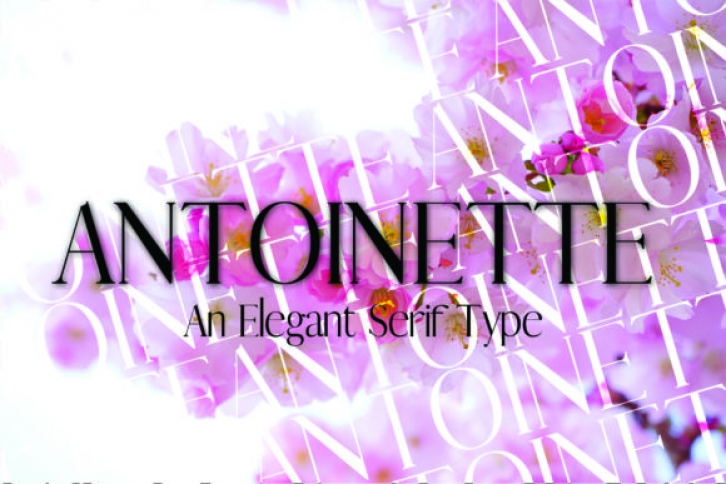 Antoinette Font Download
