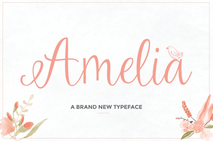 Amelia Script Font Download