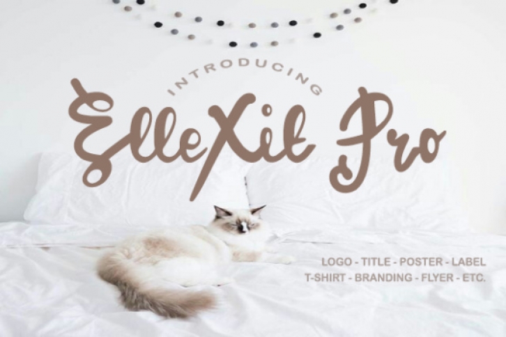 ElleXit Pro Font Download