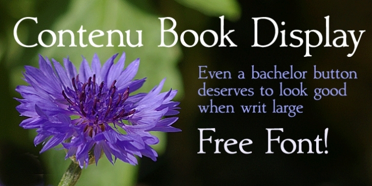 Contenu Book Display Font Download