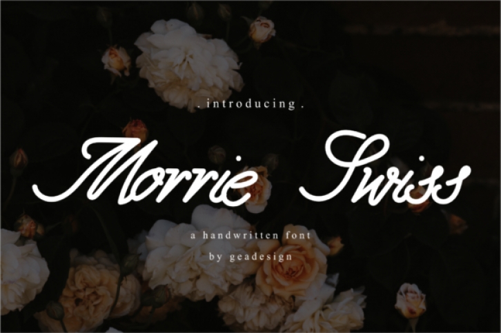 Morrie Swiss Font Download