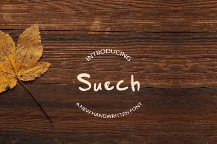 Suech Font Download