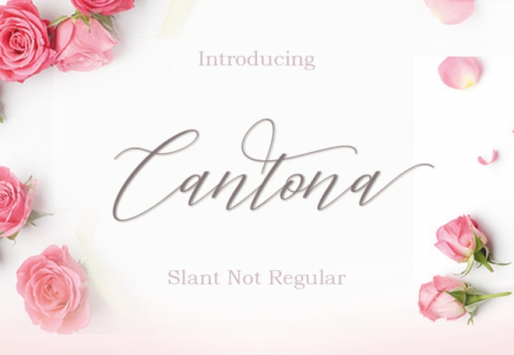 Cantona Font Download