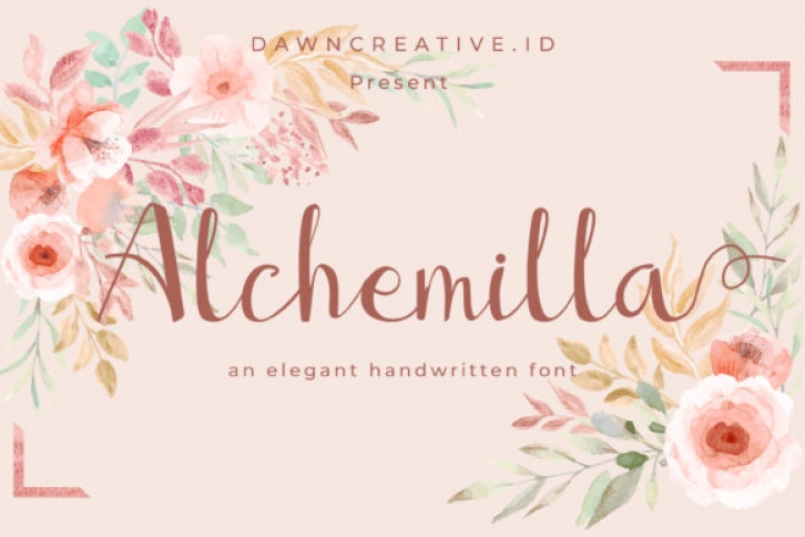 Alchemilla Font Download