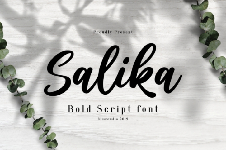 Salika Font Download