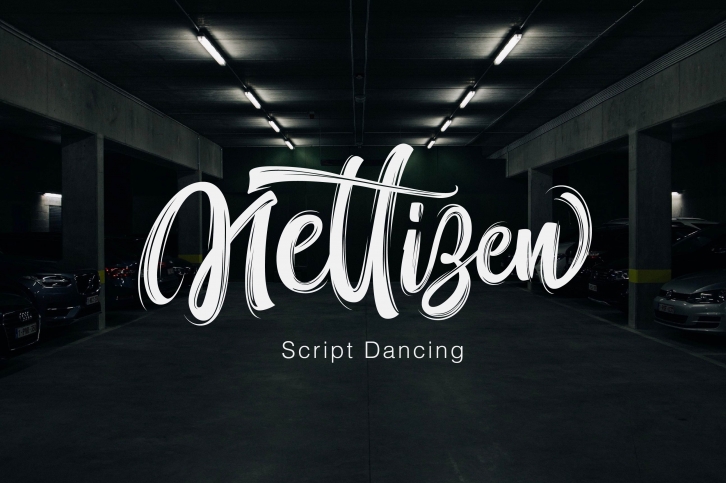 Nettizen Font Download