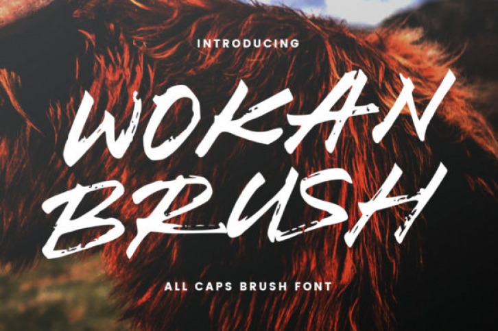 Wokan Font Download