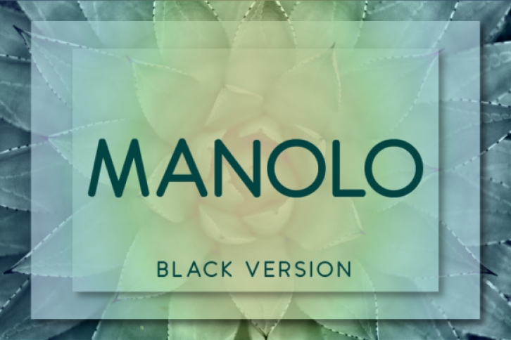 Manolo Black Font Download